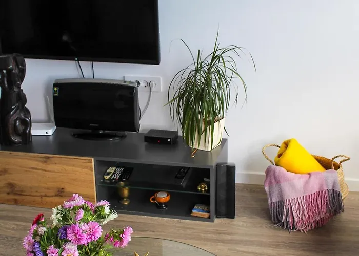 Modern With & Mountain Views *